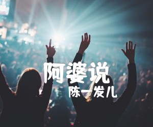 《阿婆说吉他谱》_陈一发儿_C调 图片谱2张