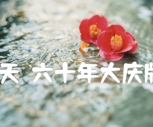 《今夜礼花满天（六十年大庆版）合唱曲谱吉他谱》_孟卫东 图片谱1张