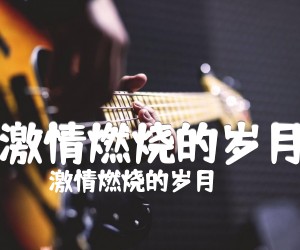 《激情燃烧的岁月吉他谱》_激情燃烧的岁月 图片谱3张