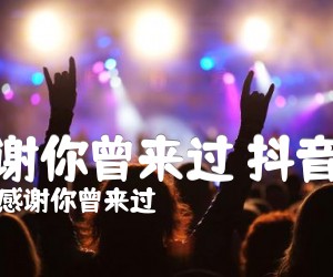 《感谢你曾来过 抖音版吉他谱》_感谢你曾来过 图片谱7张