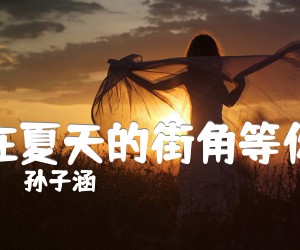 《孙子涵 在夏天的街角等你吉他谱》_孙子涵 图片谱1张