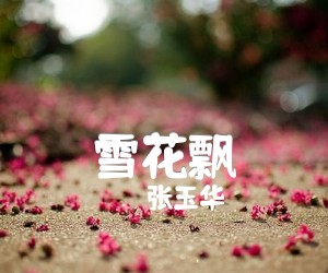 《雪花飘吉他谱》_张玉华_B调 图片谱1张