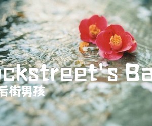 《Backstreet's Back吉他谱》_后街男孩_D调 图片谱2张