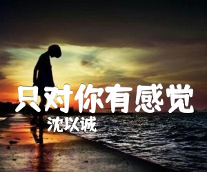 《只对你有感觉吉他谱》_沈以诚_C调_吉他图片谱4张