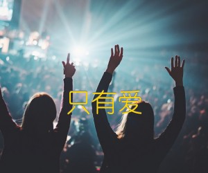 《只有爱吉他谱》_群星_C调_吉他图片谱2张