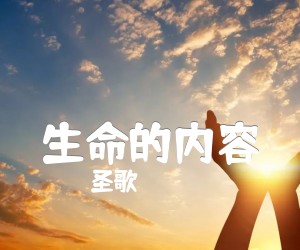 《生命的内容吉他谱》_圣歌 图片谱1张