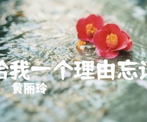 《给我一个理由忘记吉他谱》_黄丽玲_G调 图片谱3张