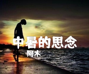 《中暑的思念吉他谱》_阿木 图片谱1张