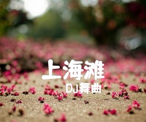 《上海滩吉他谱》_DJ舞曲_吉他图片谱3张