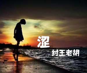 《涩吉他谱》_纣王老胡_C调_吉他图片谱2张