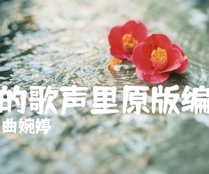 《我的歌声里原版编配吉他谱》_曲婉婷_G调_吉他图片谱4张