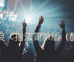 《往后余生 马良 C指法简单版（酷音小伟吉他）吉他谱》_群星_B调 图片谱1张