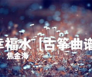 《幸福水  [古筝曲谱]吉他谱》_焦金海 图片谱1张