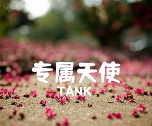 《专属天使吉他谱》_TANK_未知调 图片谱1张