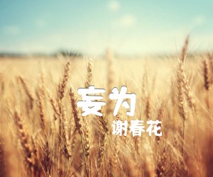 《妄为吉他谱》_谢春花_C调 图片谱1张