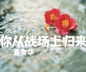 《你从战场上归来吉他谱》_董文华_A调 图片谱1张