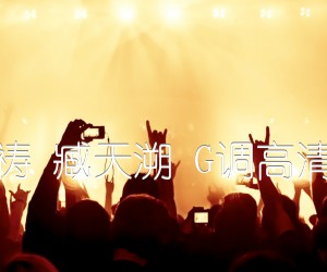 《心的祈祷 臧天溯 G调高清弹唱谱吉他谱》_群星_G调 图片谱1张