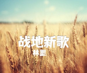 《战地新歌吉他谱》_林里_F调 图片谱1张