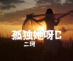 《孤独她呀C吉他谱》_二珂_B调 图片谱1张