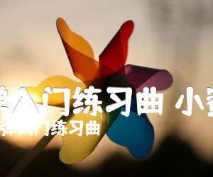 《指弹入门练习曲 小蜜蜂吉他谱》_指弹入门练习曲 图片谱1张