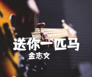 《送你一匹马吉他谱》_金志文__C调指法高清版_C调_吉他图片谱3张