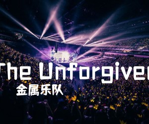 《The Unforgiven吉他谱》_金属乐队_未知调 图片谱2张