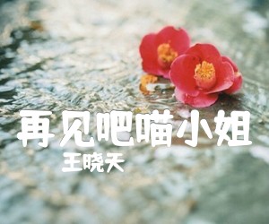 《再见吧喵小姐吉他谱》_王晓天_B调 图片谱3张