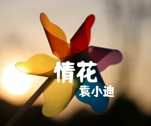 《情花吉他谱》_袁小迪 图片谱1张