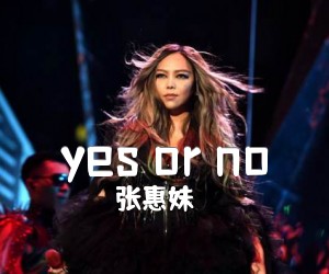 《yes or no》