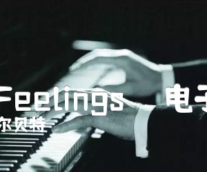 《感情 Feelings     电子琴谱吉他谱》_M.阿尔贝特 图片谱1张