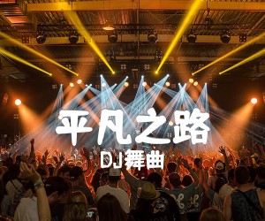 《平凡之路吉他谱》_DJ舞曲_G调_吉他图片谱2张