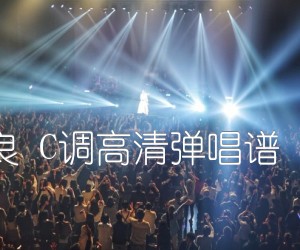 《往后余生 马良 C调高清弹唱谱 悠音吉他课堂吉他谱》_群星_C调_吉他图片谱1张