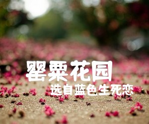 《罂粟花园（）吉他谱》_选自蓝色生死恋 图片谱1张