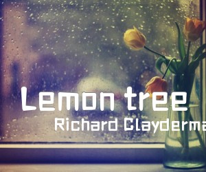 《Lemon tree》