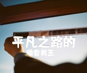 《平凡之路的吉他谱》_嗓音男王_弹唱谱简单版_朴树 图片谱1张