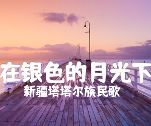 《在银色的月光下吉他谱》_新疆塔塔尔族民歌_C调 图片谱1张