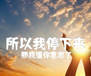 《所以我停下来》