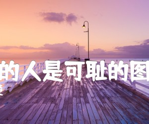 《孤独的人是可耻的图片谱》_张楚__图片谱完整版_G调_吉他图片谱2张