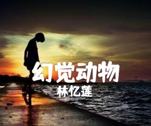 《幻觉动物吉他谱》_林忆莲_C调 图片谱2张