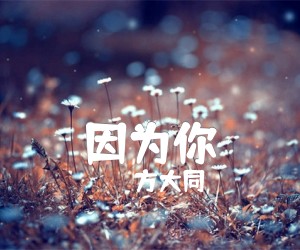 《因为你吉他谱》_方大同_G调 图片谱3张