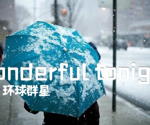 《wonderful tonight吉他谱》_环球群星 图片谱4张