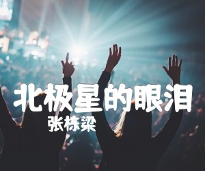 《北极星的眼泪吉他谱》_张栋梁_C调 图片谱1张