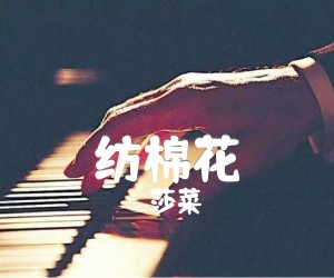 《纺棉花吉他谱》_莎菜_D调 图片谱1张