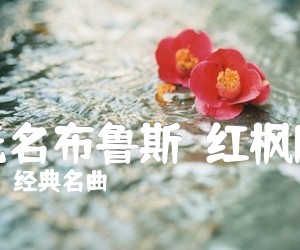 《无名布鲁斯（红枫版）吉他谱》_经典名曲_E调 图片谱1张