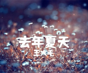 《去年夏天吉他谱》_王大毛_D调_吉他图片谱12张