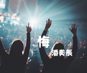 《悔吉他谱》_潘美辰_C调 图片谱2张