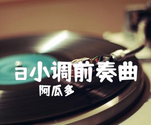 《a小调前奏曲吉他谱》_阿瓜多_C调 图片谱1张