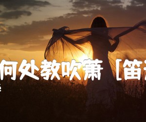 《玉人何处教吹萧  [笛萧谱]吉他谱》_吴华_G调 图片谱1张