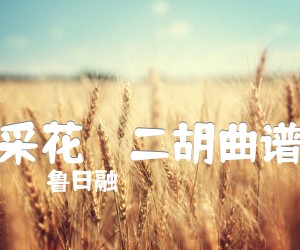 《采花    二胡曲谱吉他谱》_鲁日融 图片谱1张