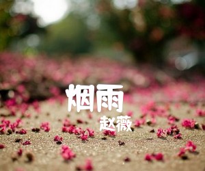 《烟雨濛濛吉他谱》_赵薇_古巨基_图片谱完整版_F调 图片谱1张